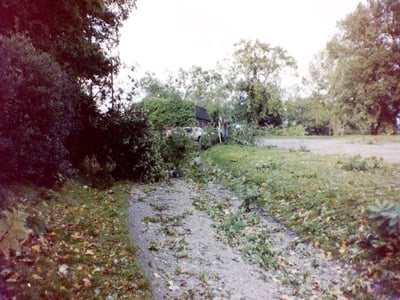 Bisley19