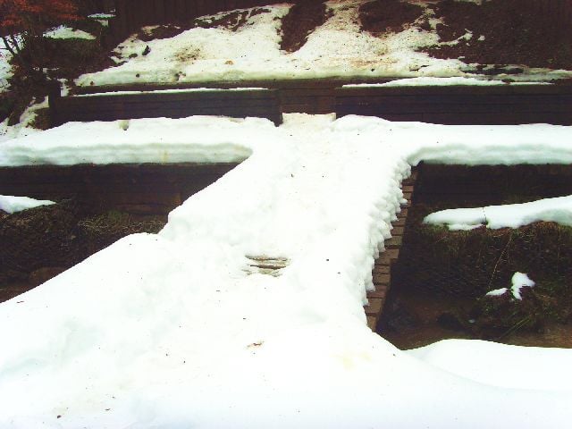 Mbridge
