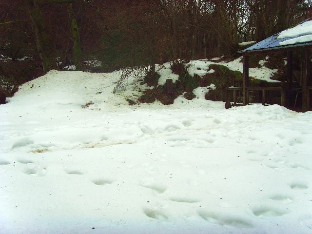Mfloor