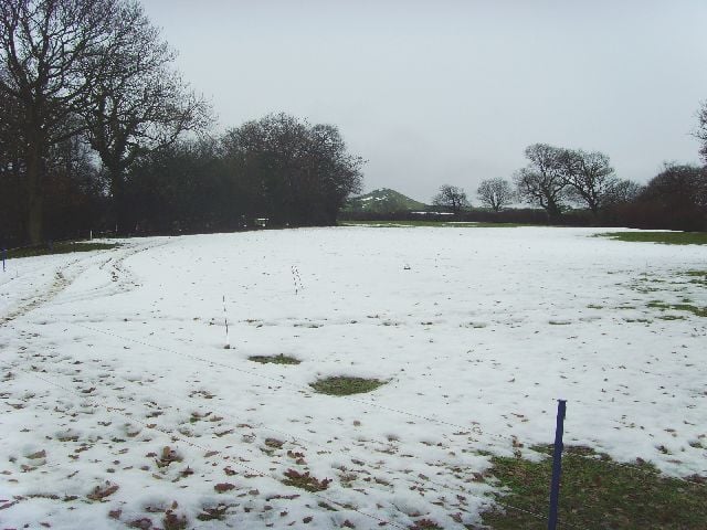 Tfield